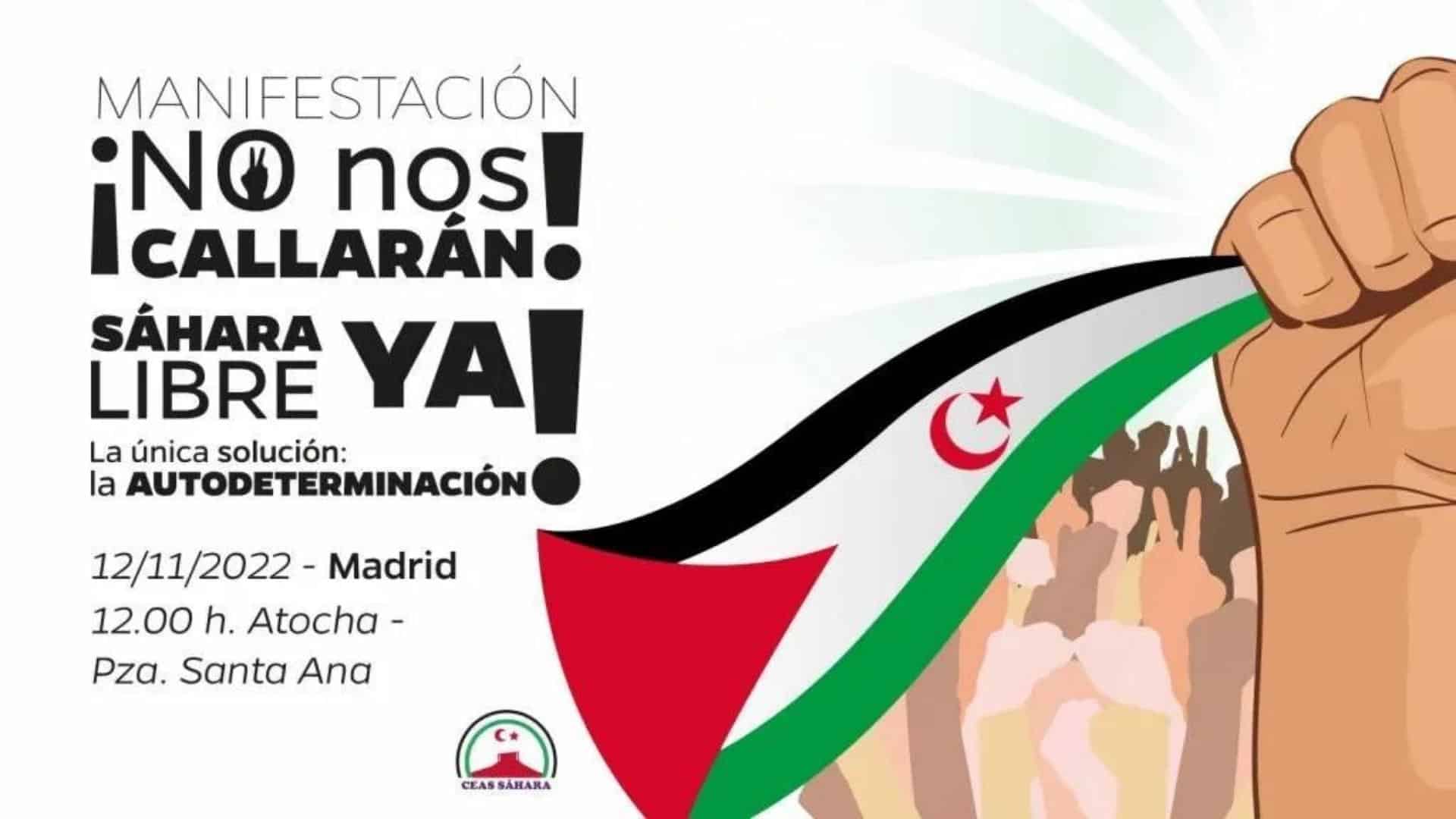 Manifestación anual de apoyo al pueblo saharaui